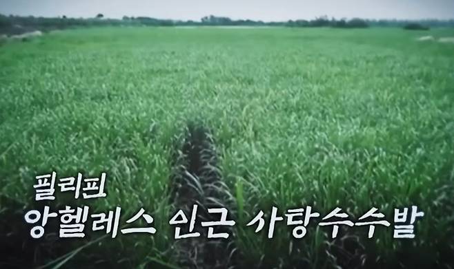 '꼬꼬무' 필리핀 박왕열