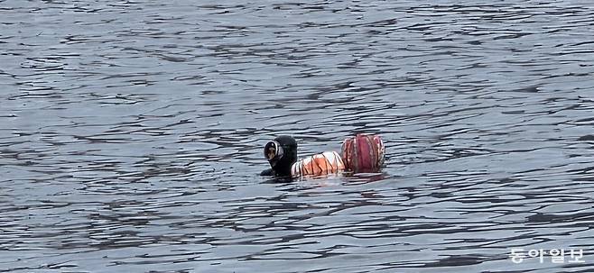 해녀의 물질. 포항=김선미 기자 kimsunmi@donga.com