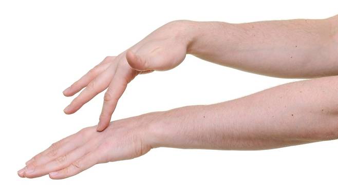 뇌의 두정엽에서 발생하는 '알파파'의 속도가 신체 소유감의 정확도를 결정하는 핵심 요인으로 나타났다 | 출처: 클립아트코리아