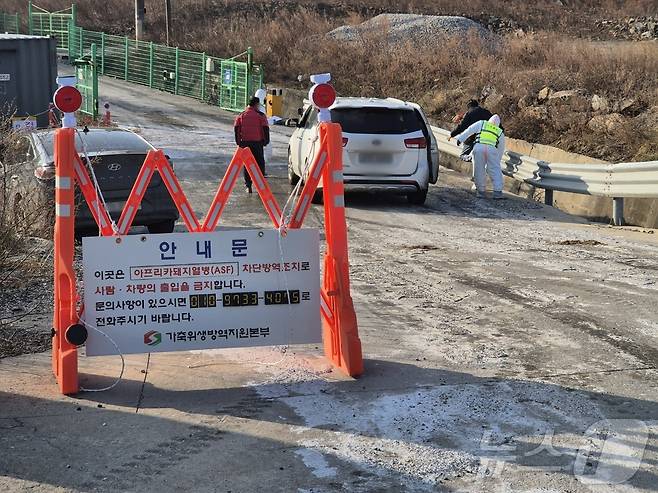 토요일인 17일 오전 강원 강릉시 강동면의 한 양돈농가에서 아프리카돼지열병(ASF)이 발생한 가운데, 방역 관계자가 출입 차량을 대상으로 소독 작업을 하고 있다. 강원 지역에서 ASF가 확인된 것은 2024년 11월 홍천군 이후 약 1년 2개월 만이다. 2026.1.17/뉴스1 ⓒ News1 윤왕근 기자