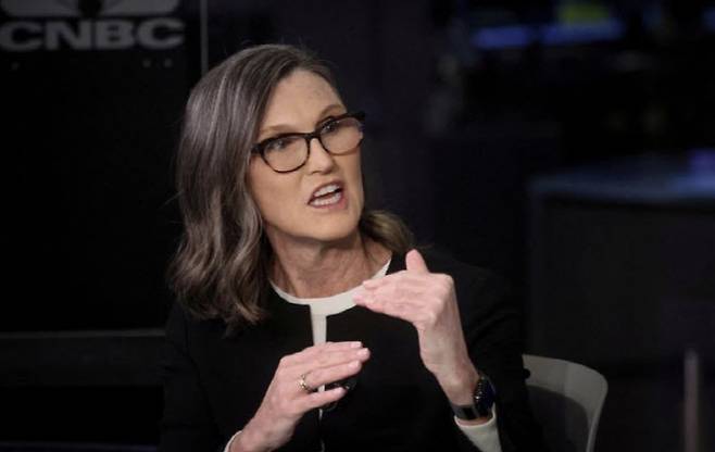 캐시 우드 아크 인베스트 CEO