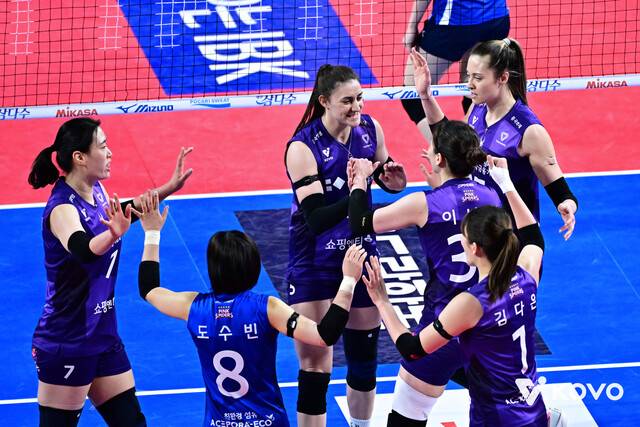 흥국생명 선수들이 18일 열린 2025∼2026 V리그 아이비케이(IBK) 기업은행과 경기에서 득점한 뒤 기뻐하고 있다. 한국배구연맹 제공