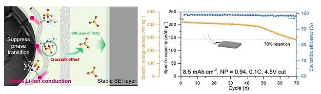 연구관련 이미지 기능성 탄소나노튜브의 양극·음극 구조 안정화 및 리튬이온 전도 향상 효과(왼쪽)와 고에너지밀도 파우치 셀 구동 안정성 향상 그래프