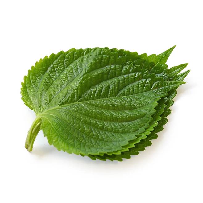 깻잎