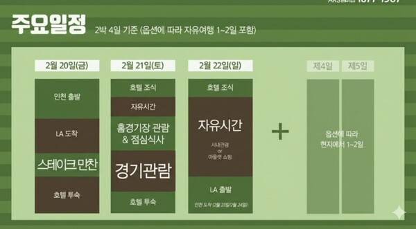 손흥민 경기 관람 프로젝트 구성(사진=뉴스공장 화면 캡처)