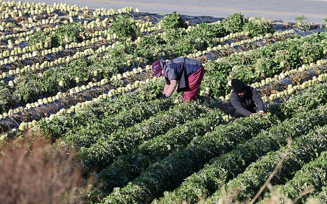 연합뉴스