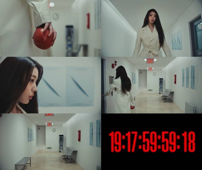 티브이데일리 포토