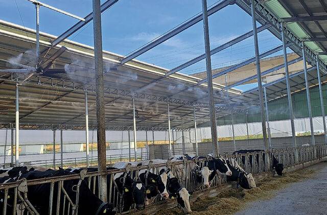 <빅웨이목장>은 높은 개폐식 천장으로 환기가 잘 이뤄지도록 했다.