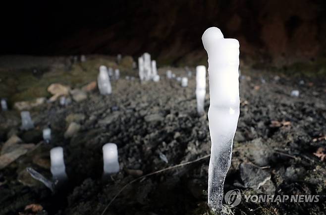 바닥에서 피어난 고드름의 숲 (제천=연합뉴스) 김형우 기자 = 한파가 기승을 부린 22일 충북 제천시 덕산면 월악
산 보덕암 인근 보덕굴에서 바닥의 물방울이 얼어 위로 자라난 역고드름이 동굴 안에 솟아 있다. 2026.1.22 vodcast@yna.co.kr