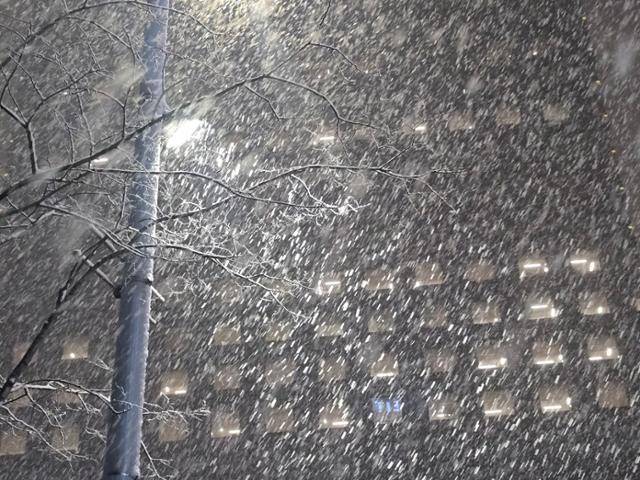 23일 서울 중구에 눈이 내리고 있다. 신은별 기자