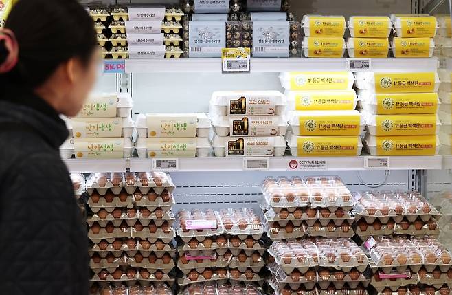 서울의 한 대형마트 달걀코너에서 시민들이 달걀을 고르고 있다. 사진=뉴스1