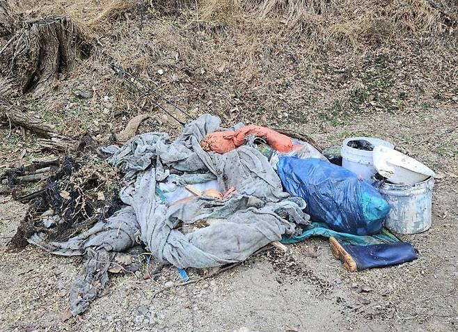 연합뉴스 독자 제공