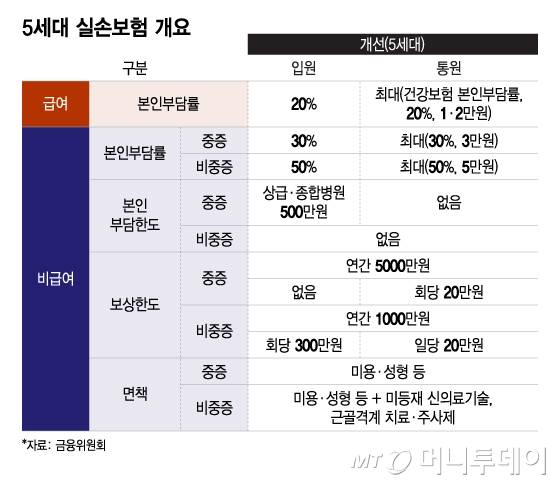 5세대 실손보험 개요/그래픽=이지혜