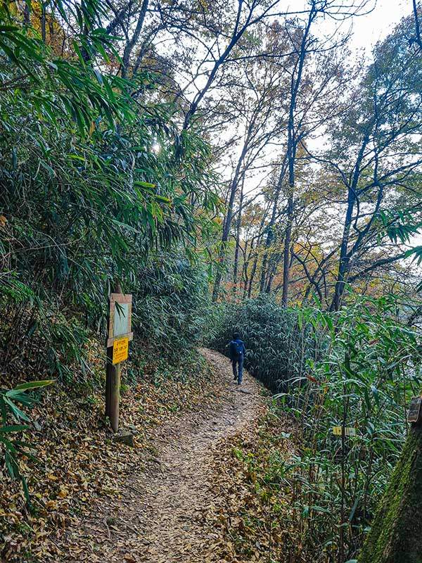 산성산에서 내려와 들머리인 가곡동강변공영주차장으로 돌아가는 수변산책로.