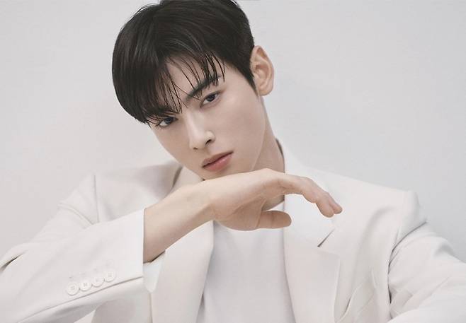 차은우. 판타지오 제공