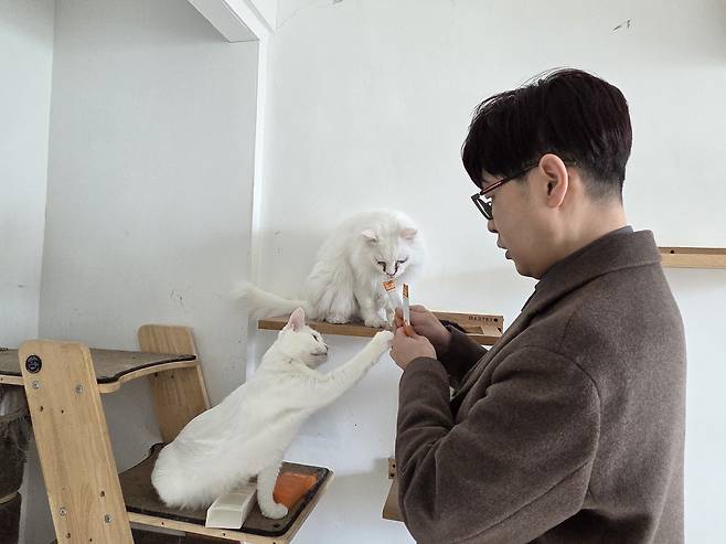 신준호 어반포즈 대표가 28일 서울 용산구 나비야사랑해 보호소에 방문해 보호 고양이들에게 닥터헤리엇 신제품을 먹이고 있다. ⓒ 뉴스1 한송아 기자