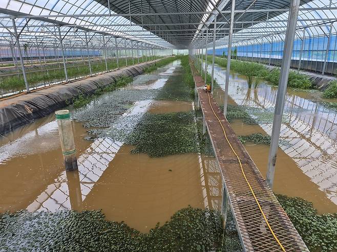 전북도가 민물새우인 ‘토하’를 활용해 사료 비용은 낮추고 수질 개선 효과는 높이는 혁신적인 친환경 양식기술을 선보였다. 전북도 제공