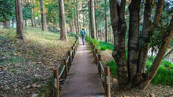 도심 속의 정원을 연상케 하는 죽도봉공원 숲길.