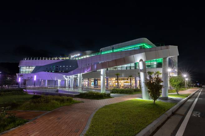 율포해수녹차센터 야경 전경. /보성군 제공