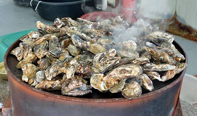 전남 장흥 남포마을의 겨울 별미인 굴구이.