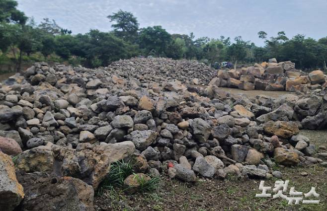 2023년 7월 취재진이 살펴본 서귀포시 유명 관광지 불법 산림훼손 현장. 이창준 기자