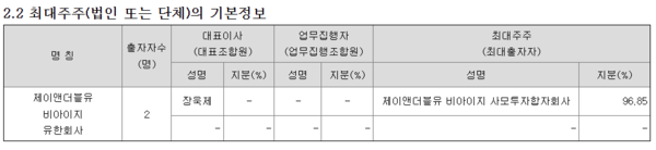 SK증권이 작년 11월 공시한 분기 보고서에 기재된 최대주주 제이앤더블유 비아이지 유한회사(J&W BIG LLC)의 출자자를 설명하는 표. 출자자수가 2명으로 표기돼 있지만 최대주주인 J&W BIG 사모투자합자회사만 표기돼 있다. 나머지 1명은 지분 3.15%를 보유한 김신 SKS PE 부회장으로 추정된다. / 자료=전자공시시스템