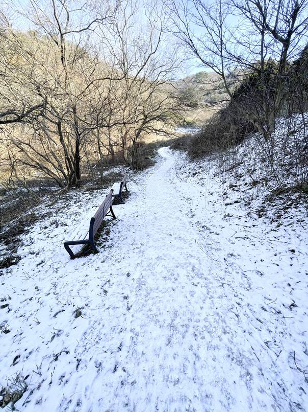 겨울