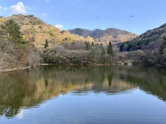 겨울