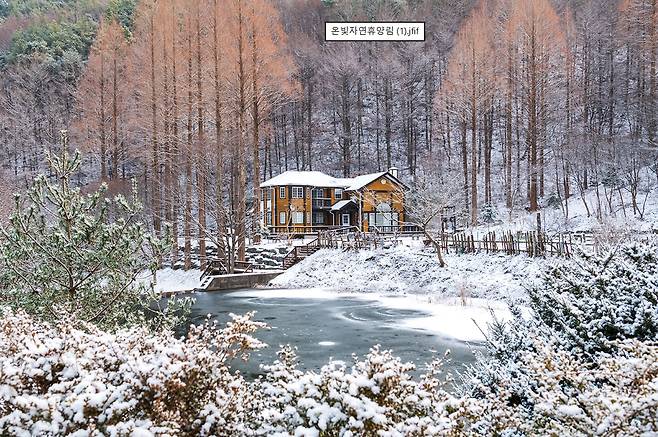 드라마 '그해 우리는'과 '아무도 없는 숲 속에서'의 배경이 돼 전국적인 '힐링 성지'로 떠오른 논산 온빛수목원이 한층 풍성한 볼거리를 갖춘 관광 명소로 거듭난다. 사진은 논산 온빛수목원 설경. 논산시 제공