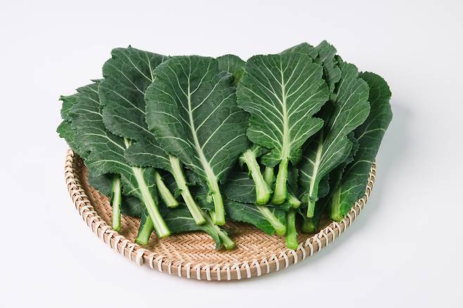 케일은 루테인이 풍부해 눈 건강에 좋다./사진=클립아트코리아