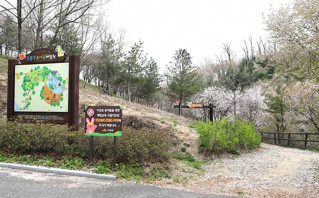 ▲ 경북 의성군 의성읍 남대천 둘레길 인근 구봉산 유아숲체험원 진입로에 숲길 안내도와 출입 제한 안내판이 설치돼 체험 교육 공간과 일반 산책 동선이 구분 운영되고 있다. 의성군