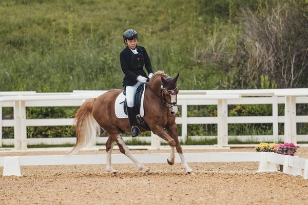 승마에 입문한 뒤 재능을 인정받아 대한승마협회 유소년 마장마술 국가대표로 선발된 나원제가 훈련하고 있다. /GEF승마단 제공