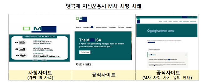 사진제공= 금감원