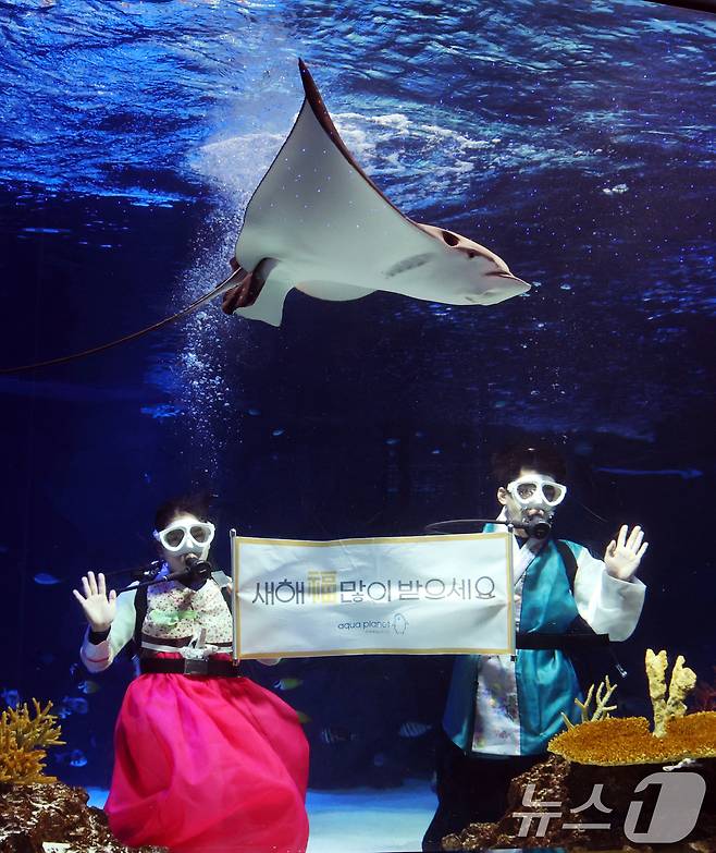 설 명절을 앞둔 11일 경기 수원시 영통구 아쿠아플라넷 광교에서 한복을 입은 아쿠아리스트들이 설 명절 인사를 하고 있다. 2026.2.11 ⓒ 뉴스1 김영운 기자