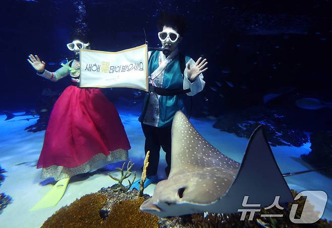 설 명절을 앞둔 11일 경기 수원시 영통구 아쿠아플라넷 광교에서 한복을 입은 아쿠아리스트들이 설 명절 인사를 하고 있다. 2026.2.11 ⓒ 뉴스1 김영운 기자