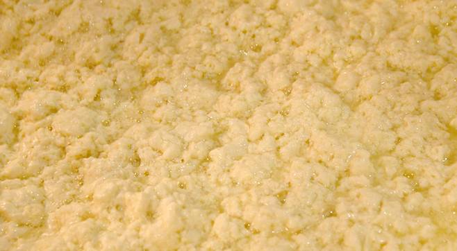 두부, 템페 같은 콩 기반 식품에는 이소플라본이라는 항산화·항염 성분이 풍부하다./사진=클립아트코리아