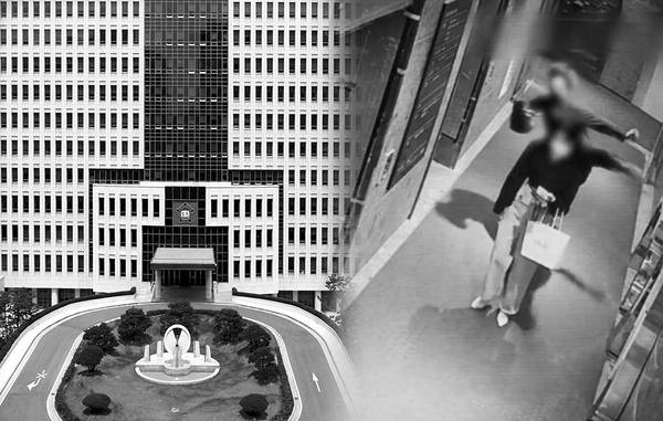 부산고법 전경, ‘부산 돌려차기’ 사건 CCTV 영상캡처