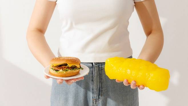 운동부족, 초가공식품 섭취, 수면 부족, 스트레스는 내장지방 축적 원인이 된다 | 출처: 클립아트코리아