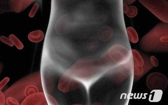 ⓒ 뉴스1 이은현 디자이너