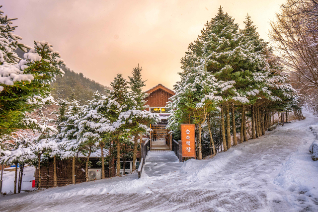 눈 내린 국립한국자생식물원. 국립한국자생식물원