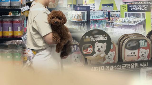 (연합뉴스)