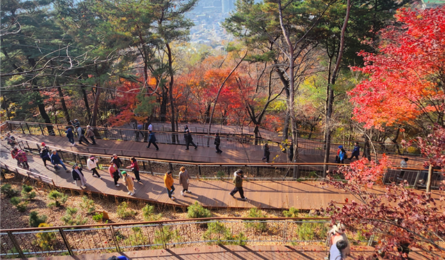 시민들이 서울 남산 하늘숲길을 걷고 있다. 서울시청 제공