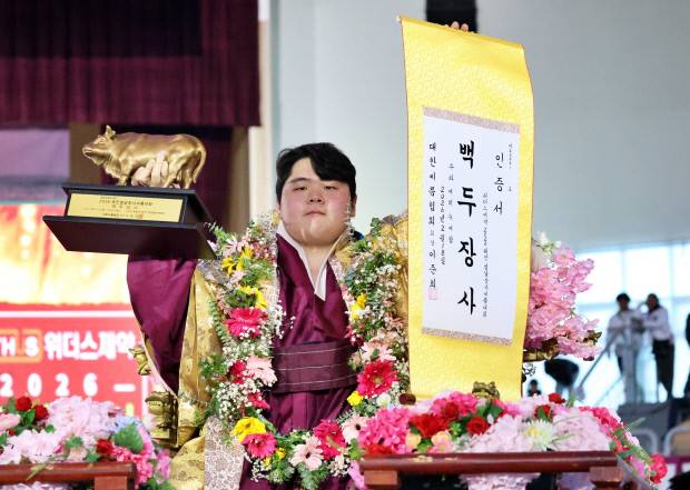 18일 충남 태안종합실내체육관에서 열린 ‘위더스제약 2026 태안설날장사씨름대회’ 백두장사(140kg이하)에 오른 김민재가 황소트로피를 들고 기념사진을 찍고 있다. <대한씨름협회 제공>