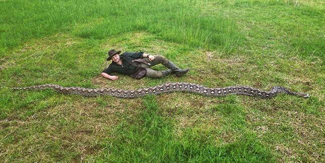 ‘세계에서 가장 긴 뱀’ 이부 바론은 몸길이가 7m, 몸무게 96㎏에 달해 축구 골대를 완전히 가로막을 정도로 거대한 것으로 측정됐다. 기네스 세계 기록 제공