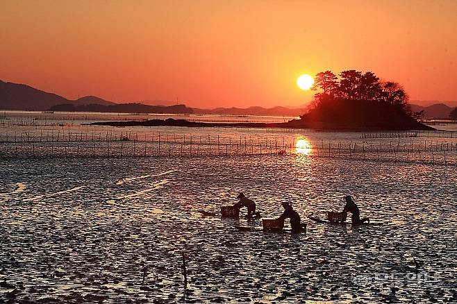 순천 와온해변