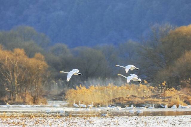 우수 이후 일시적인 한파가 몰아치기도 한다. 클립아트코리아