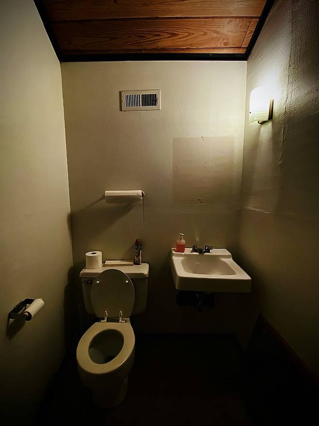 화장실 내 스마트폰 사용은 배변 시간을 지연시켜 항문 혈관 압력을 높일 수 있다. 원활한 배변 활동을 위해서는 5분 이내에 볼일을 마치는 습관이 중요하다. unsplash