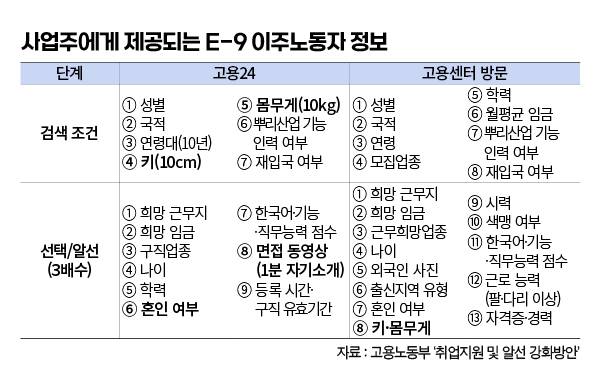 편집 김효정 기자
