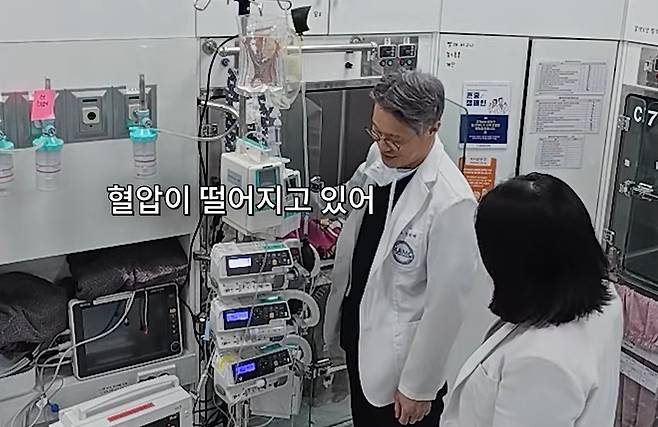 손 모형을 쓰다듬듯이 머리 위에 얹어 놓자 실제로 혈압이 떨어지며 안정을 취한 땅콩(고려동물메디컬센터 유튜브 갈무리 ⓒ 뉴스1