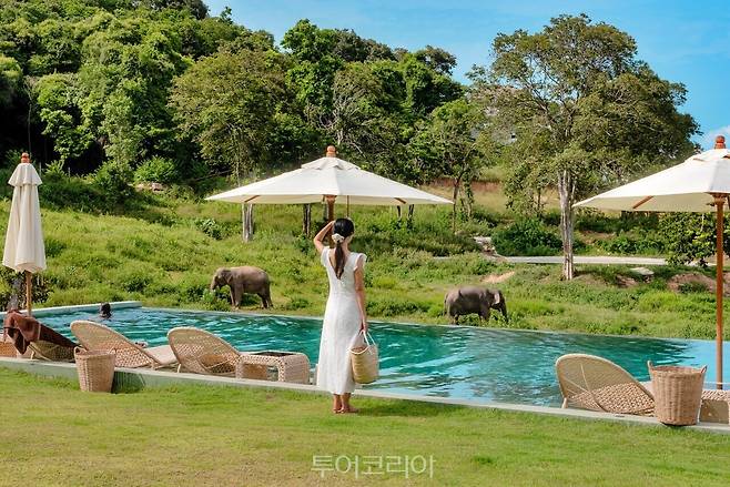 사진-코코사무이